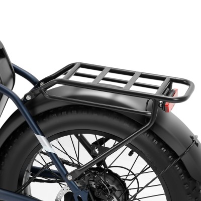S2 Pro EU Plug 20in 48V15Ah E-Bike
