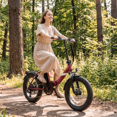 S3 Pro Red EU Plug Step-Thru 20in 48V27Ah 250W E-Bike